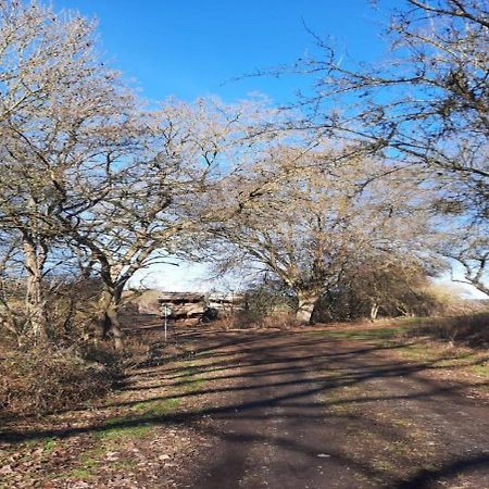 Exklusive Naturoase Direkt Am Ars Natura Wanderweg Mit Panoramablick Auf เมลซุงเงิน ภายนอก รูปภาพ