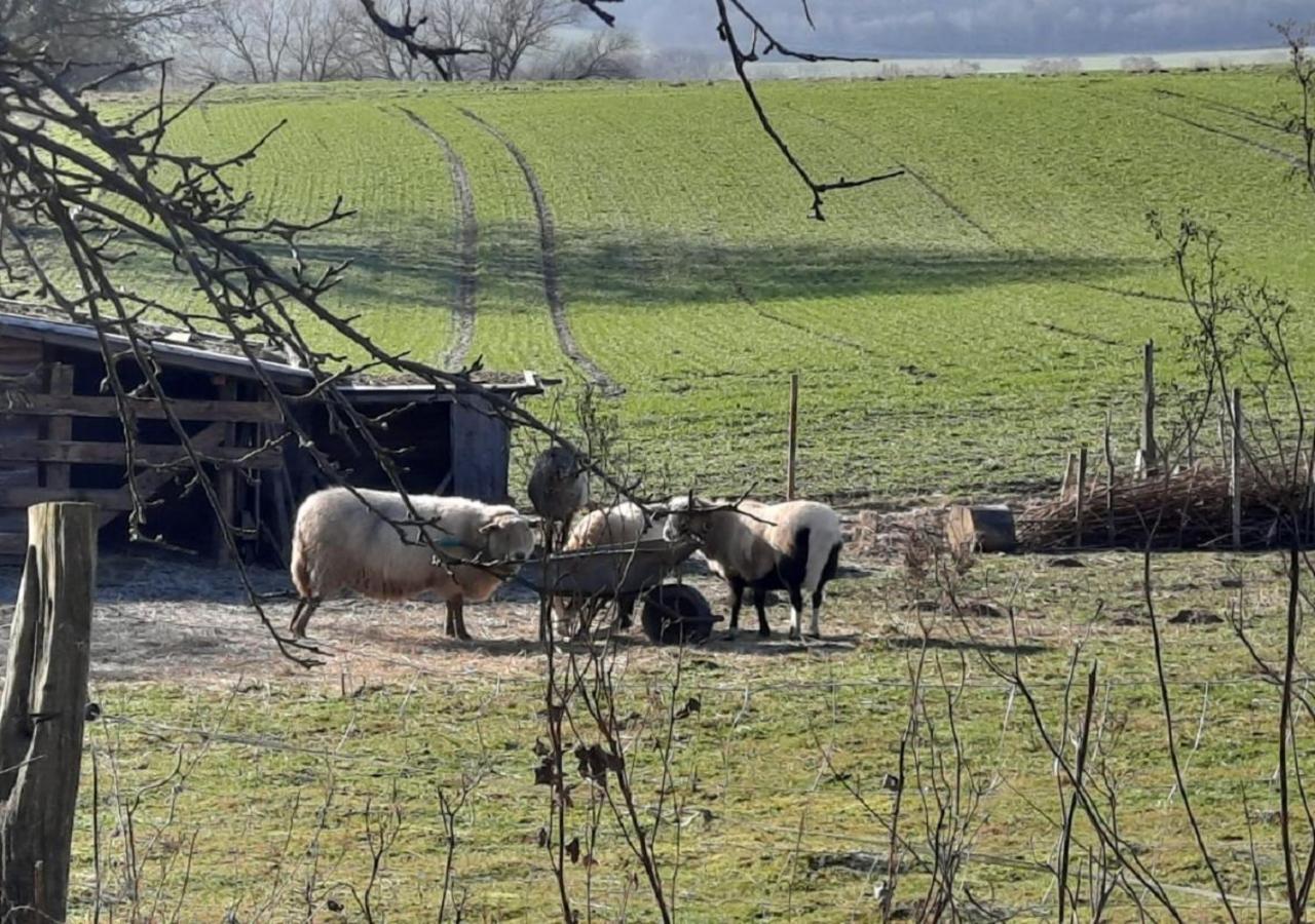 Exklusive Naturoase Direkt Am Ars Natura Wanderweg Mit Panoramablick Auf เมลซุงเงิน ภายนอก รูปภาพ